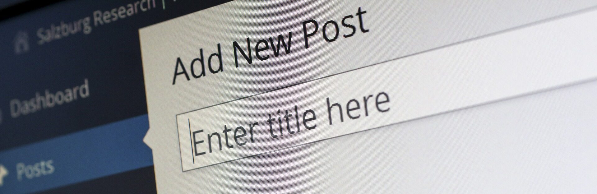 WordPress 6.2 Dolphy